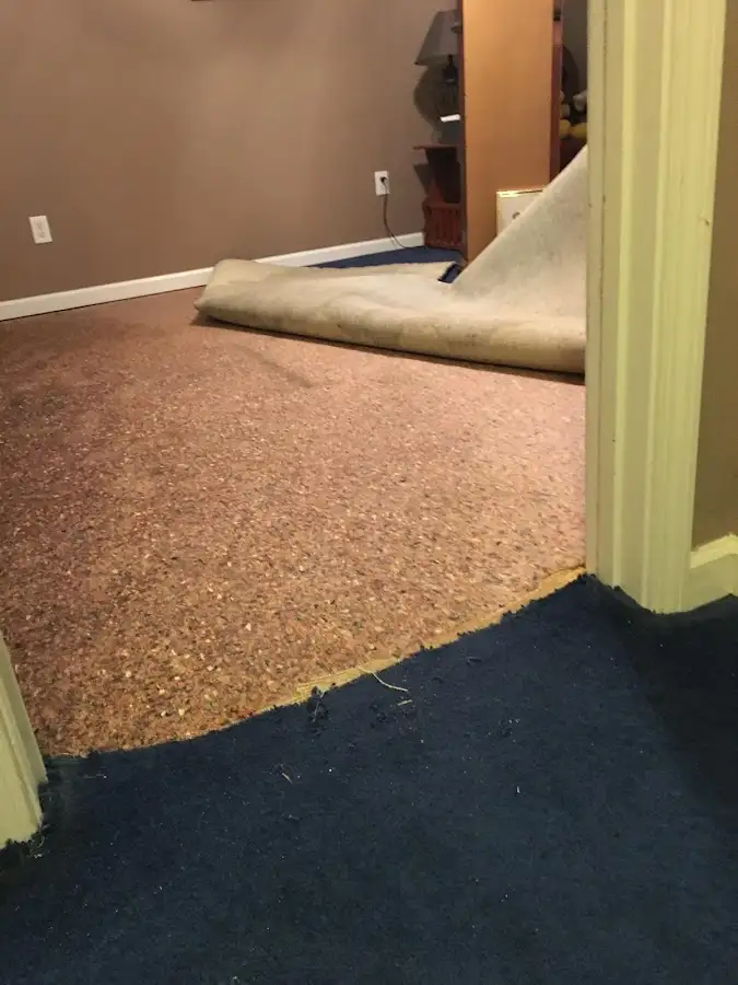 Carpet pad removal revealing water damage during Water Mitigation Services in Mission Bend