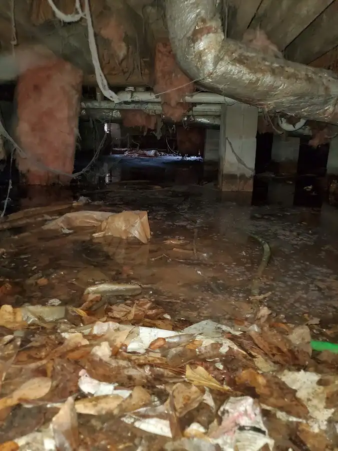 Crawl space flood assessment for Commercial Water Damage Restoration in Mission Bend